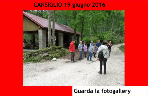 CANSIGLIO 19 giugno 2016 Guarda la fotogallery